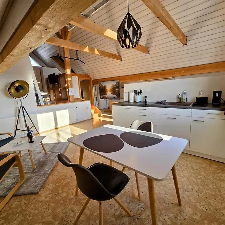Gemuetliche Dachwohnung Balgach